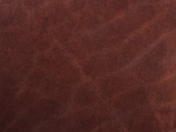 Primavera marrone 02